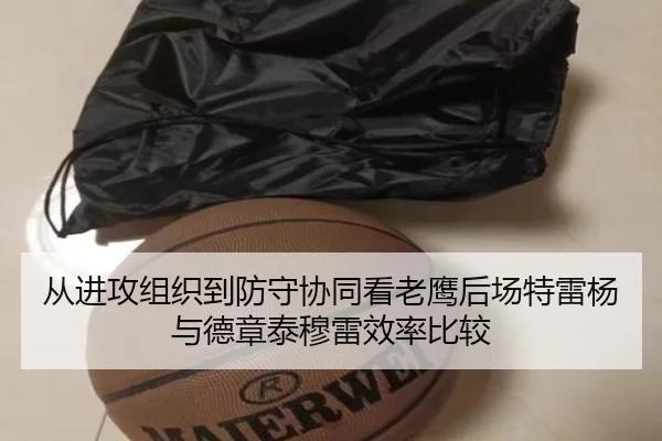 从进攻组织到防守协同看老鹰后场特雷杨与德章泰穆雷效率比较